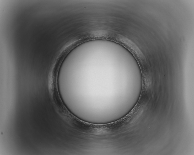 X0000102410583200808081326