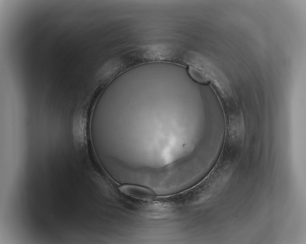 X0000102410585200808081326