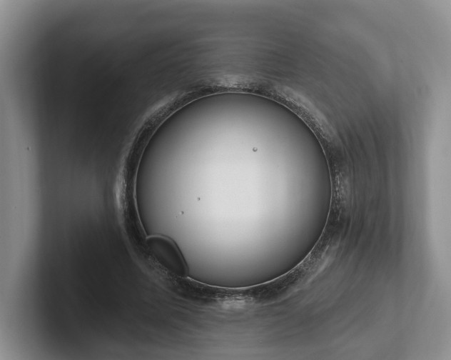 X0000102410587200808081326