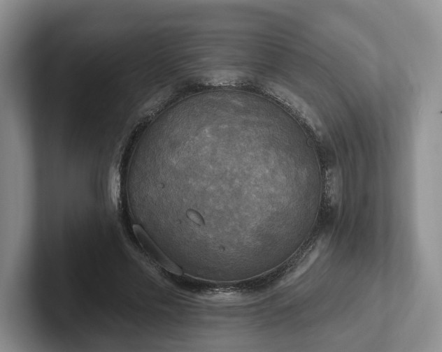 X0000102410589200808081326