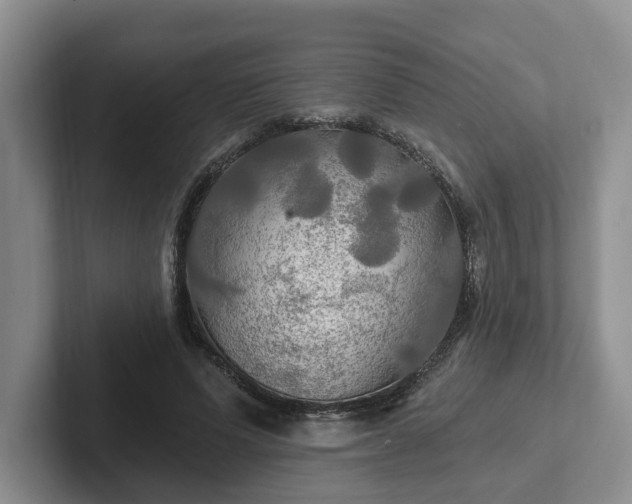 X0000102410591200808081326