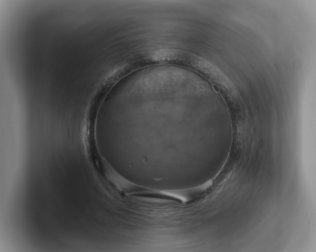 X0000102410592200808081326