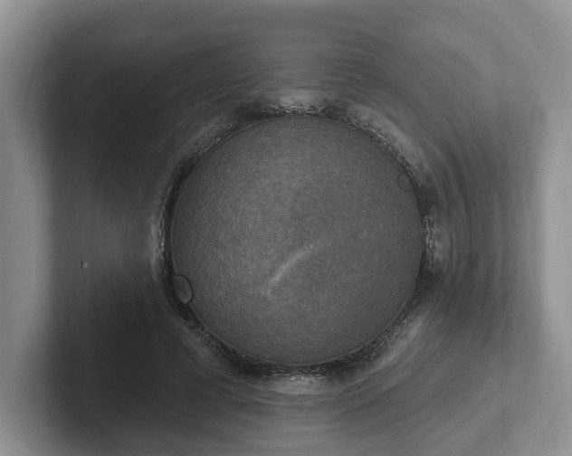 X0000102410593200808081326