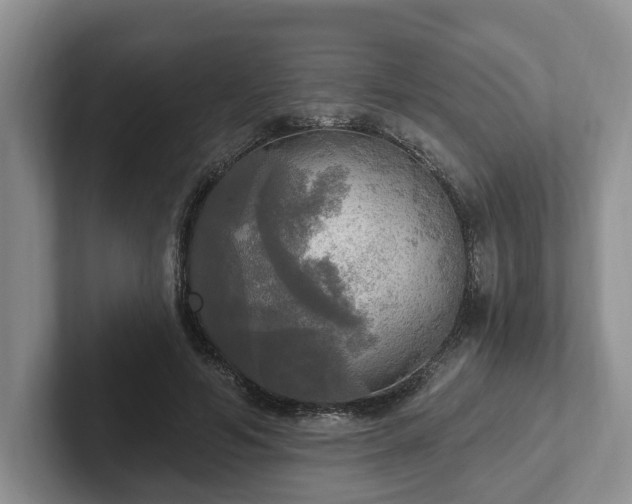 X0000102410594200808081326