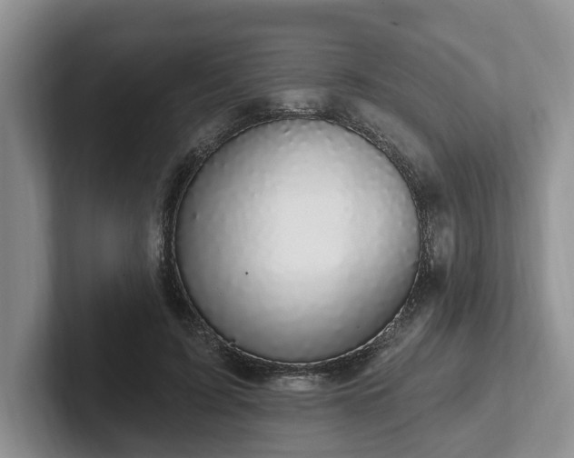 X0000102410595200808081326