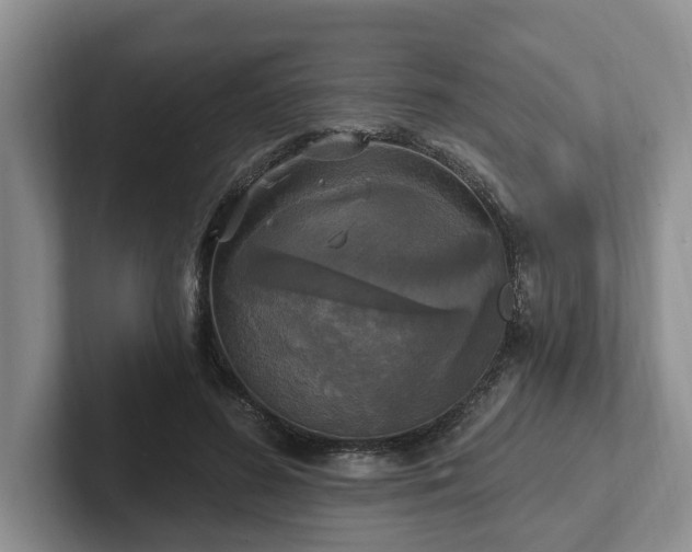 X0000102410596200808081326