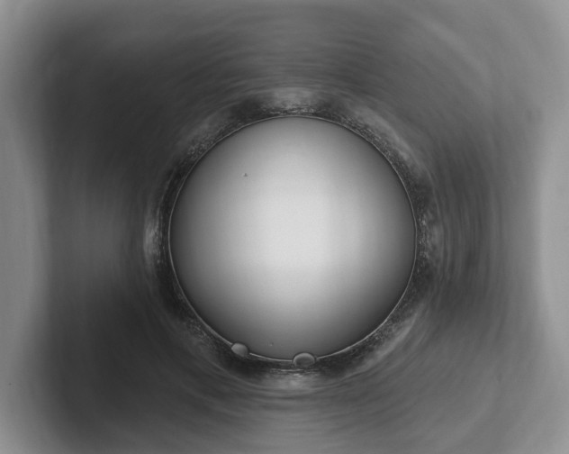 X0000102410597200808081326