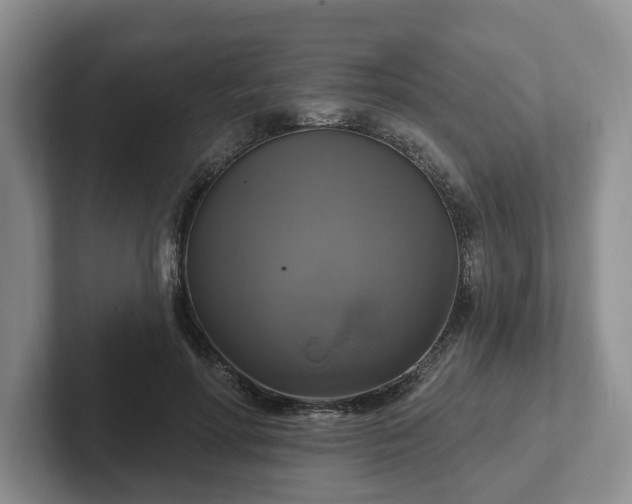 X0000102410598200808081326