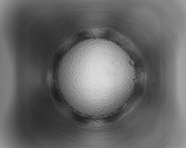 X0000102410599200808081326