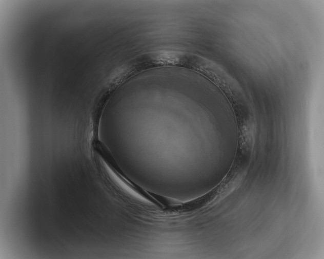 X0000102410600200808081326