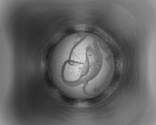 X0000102410601200808081326