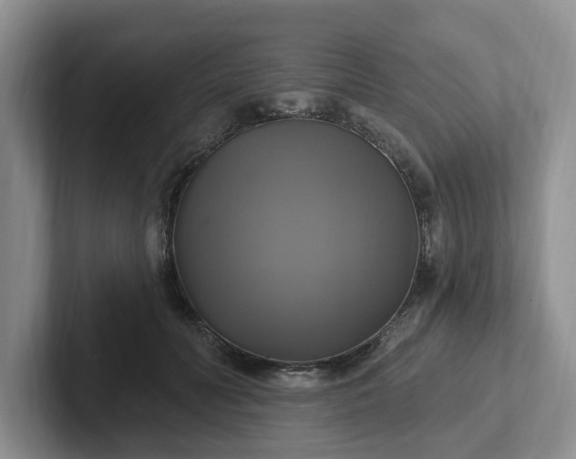 X0000102410606200808081326