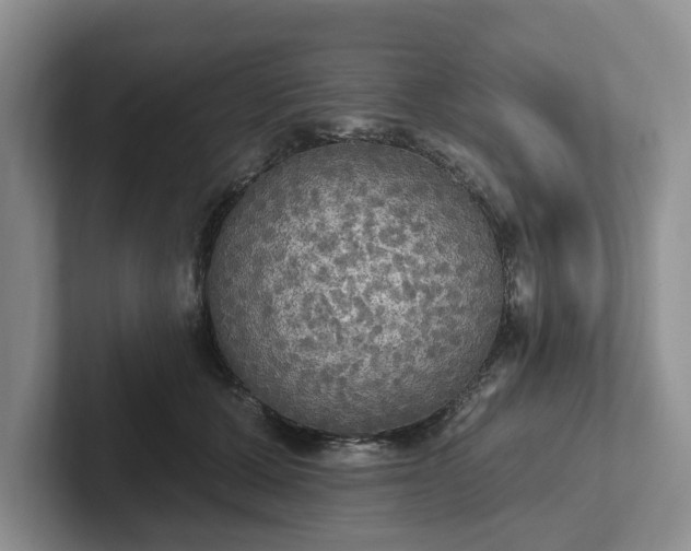 X0000102410607200808081326