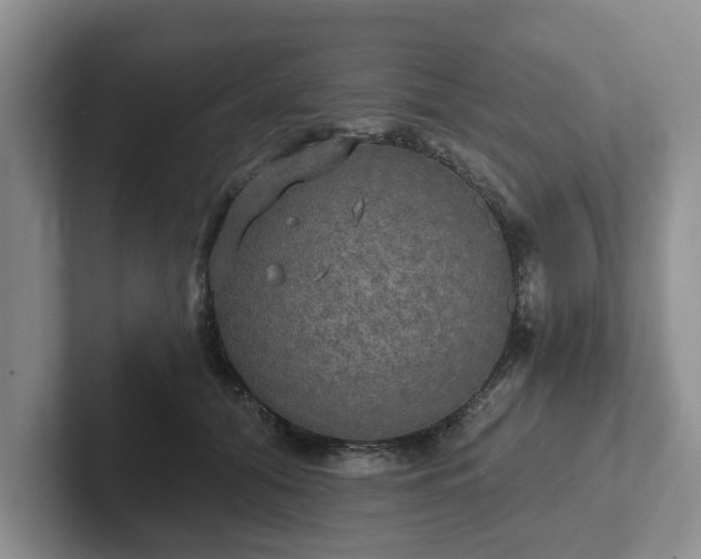 X0000102410608200808081326