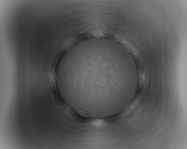 X0000102410609200808081326