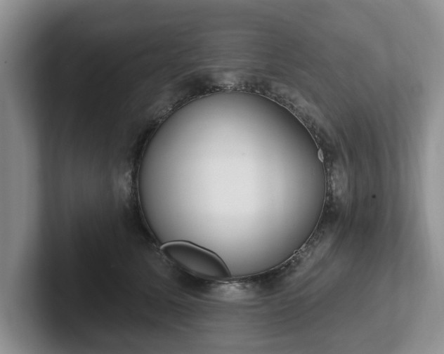 X0000102410611200808081326