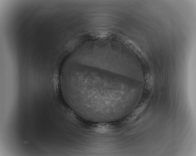 X0000102410612200808081326