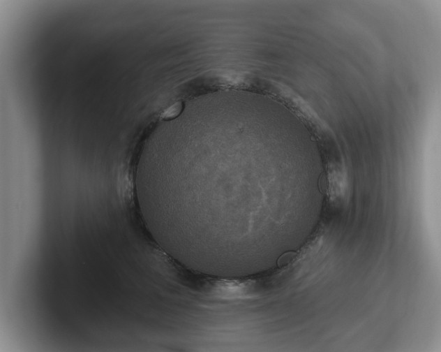 X0000102410613200808081326