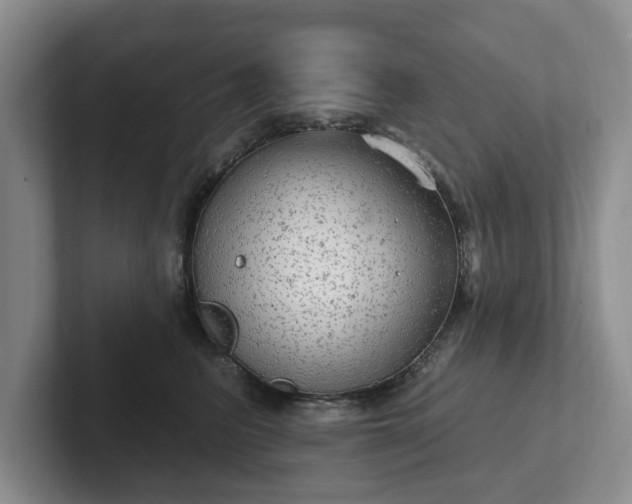 X0000102410615200808081326