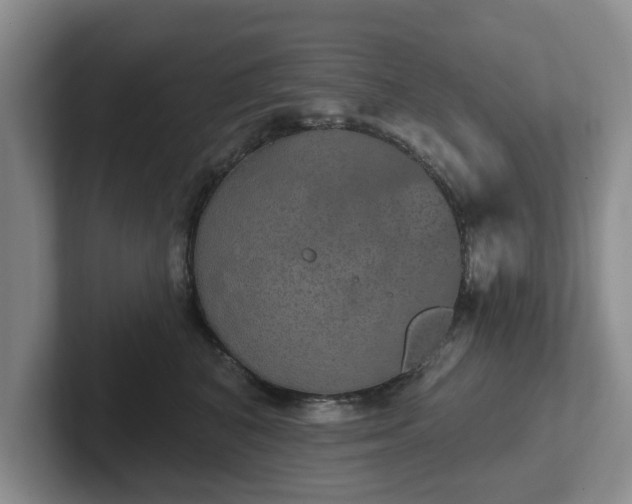 X0000102410616200808081326