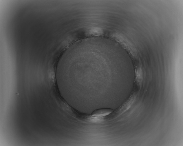 X0000102410617200808081326