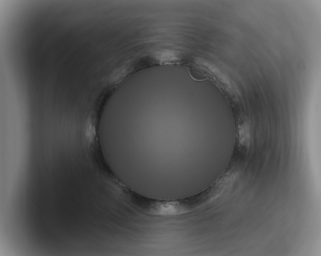 X0000102410618200808081326