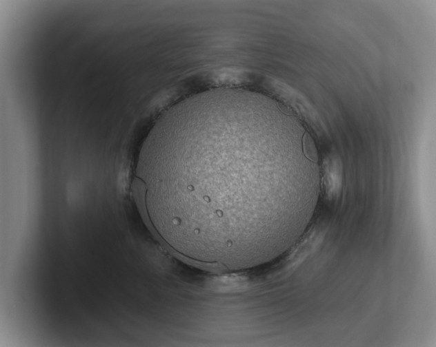 X0000102410619200808081326