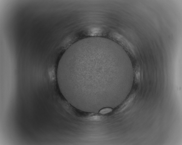 X0000102410620200808081326