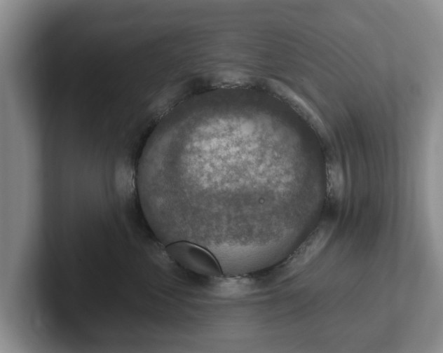 X0000102410621200808081326