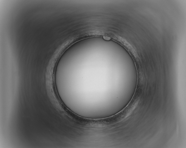 X0000102410625200808081325