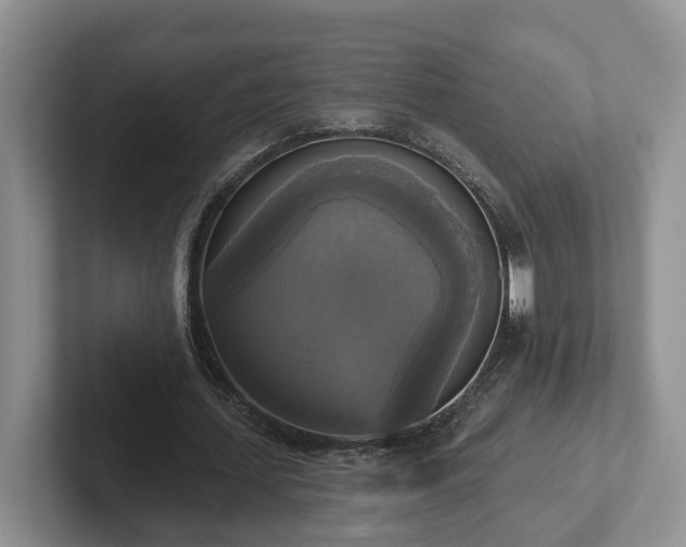 X0000102410627200808081325