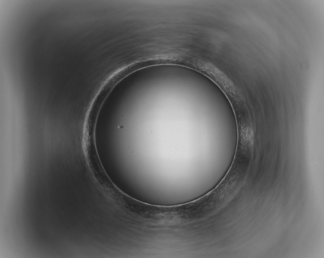 X0000102410628200808081325