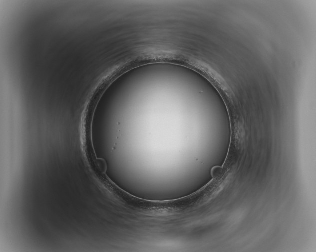 X0000102410629200808081325