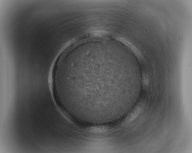 X0000102410630200808081325