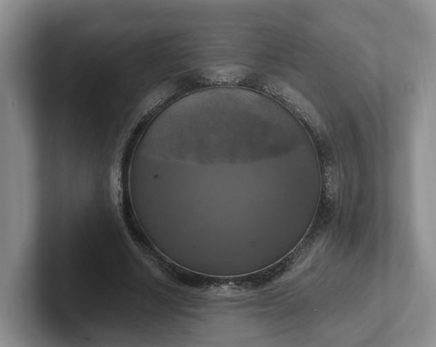 X0000102410634200808081325