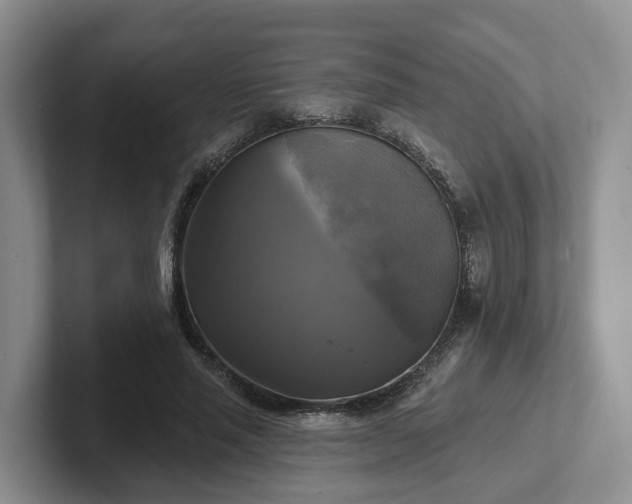 X0000102410637200808081325