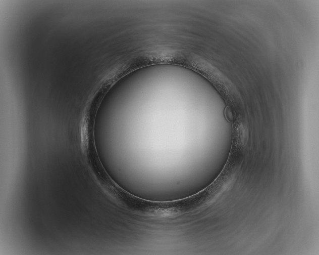 X0000102410638200808081325