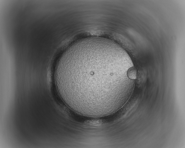 X0000102410639200808081325