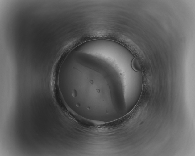 X0000102410640200808081325