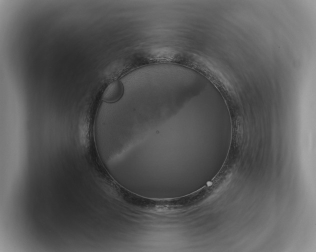 X0000102410641200808081325