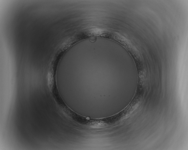 X0000102410642200808081325