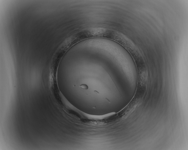 X0000102410644200808081325