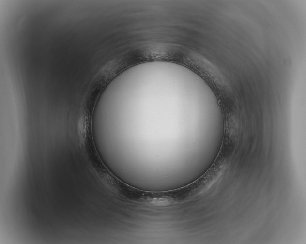 X0000102410645200808081325