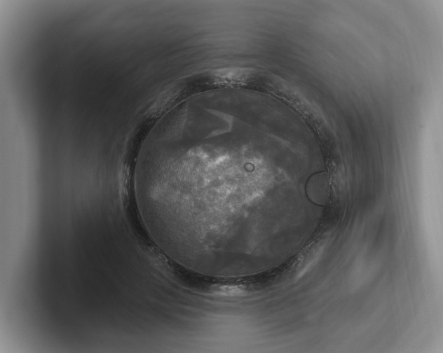 X0000102410649200808081325