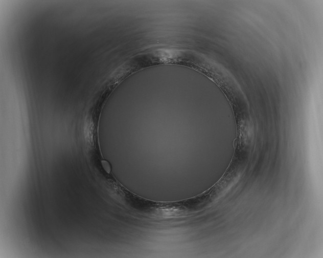 X0000102410650200808081325