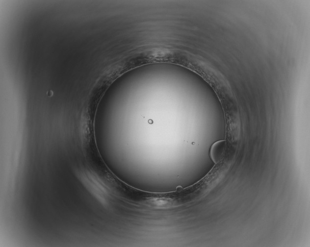 X0000102410654200808081325