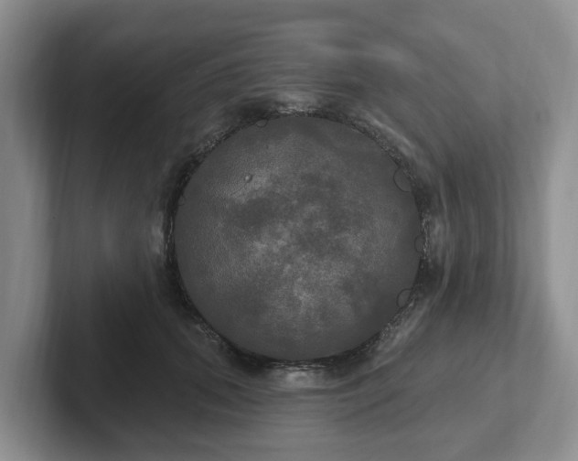 X0000102410655200808081325