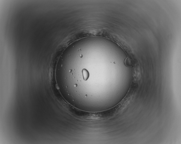 X0000102410656200808081325