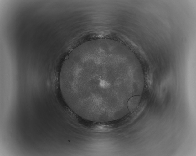 X0000102410657200808081325