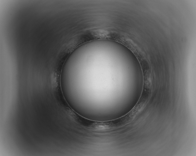 X0000102410658200808081325